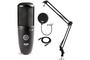 AKG P120 Recording Microphone with Knox Gear Boom Arm, Pop Filter and XLR Cable Bundle (4 Items)