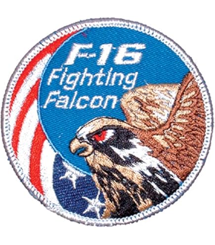 Amazon.com: Papapatch F-16 Fighting Falcon F16 USA Flag US Air