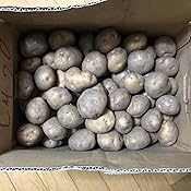 カスタマー画像