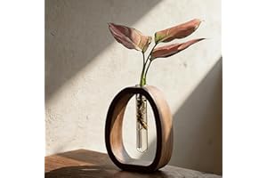 Solid Frame Glass Test Tube Propagation Station, Desk Hydroponic Plant Plants Vase, Modern Decorative Hydrophilic Plants Vase