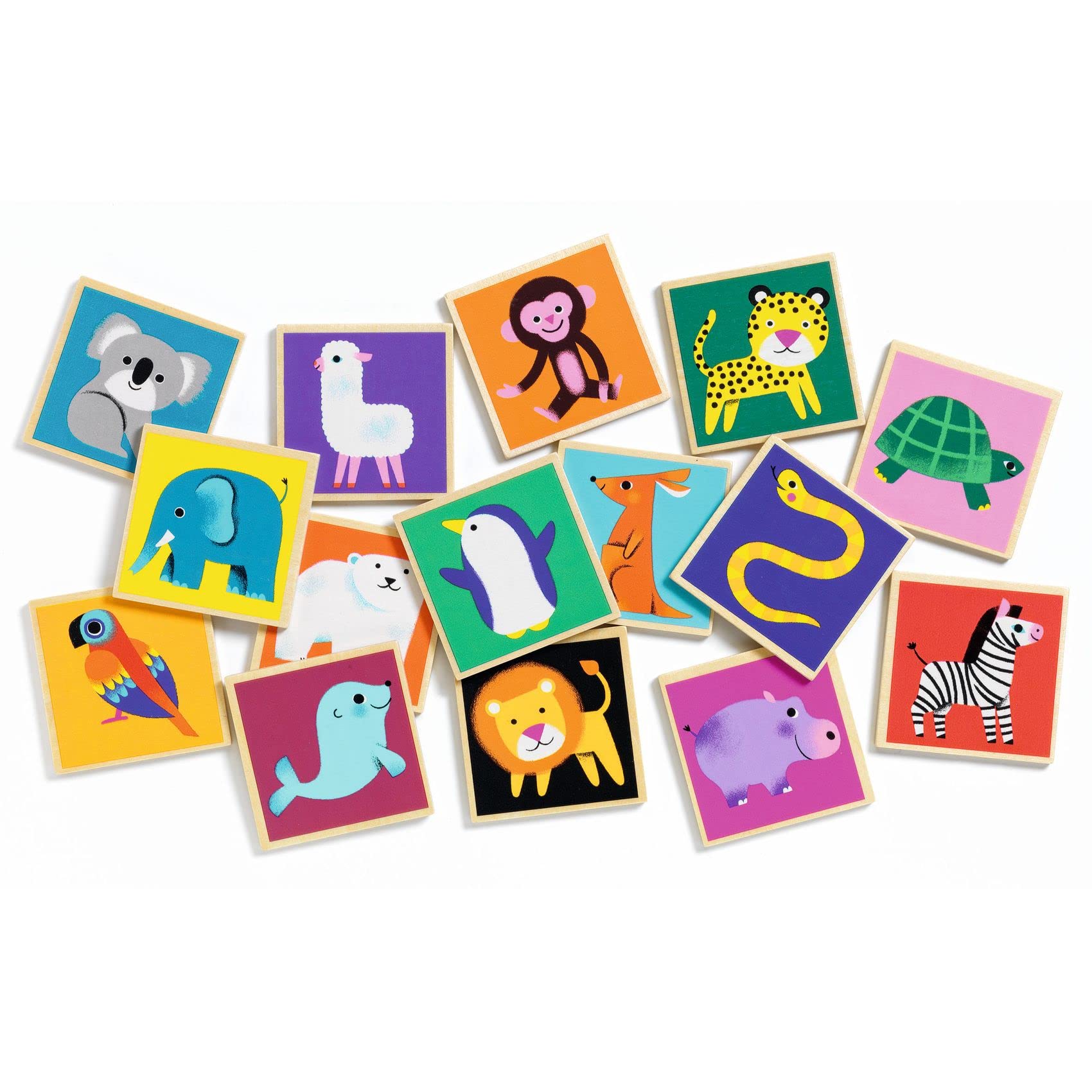 Djeco T&G - Educational Games, Multicolor (31624)