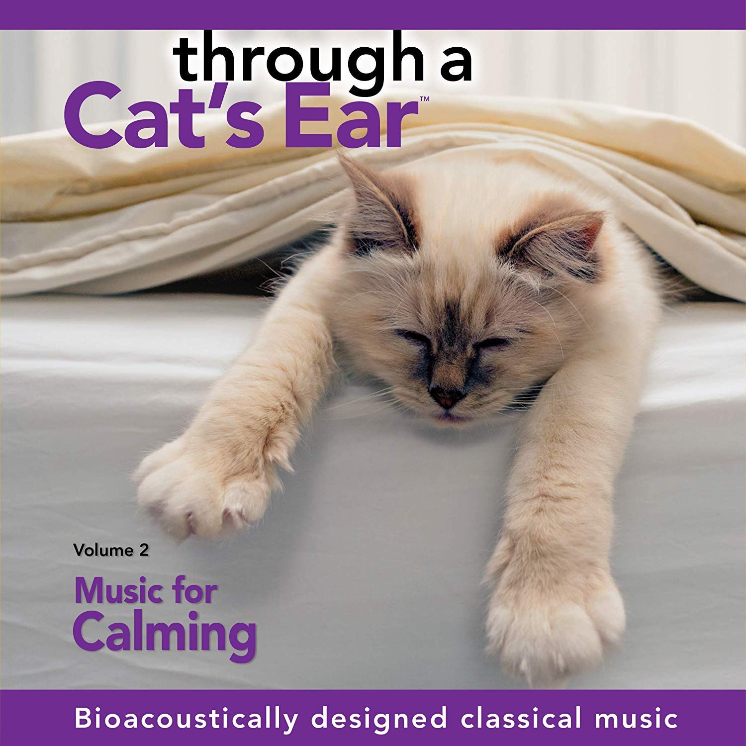 i calm cat music
