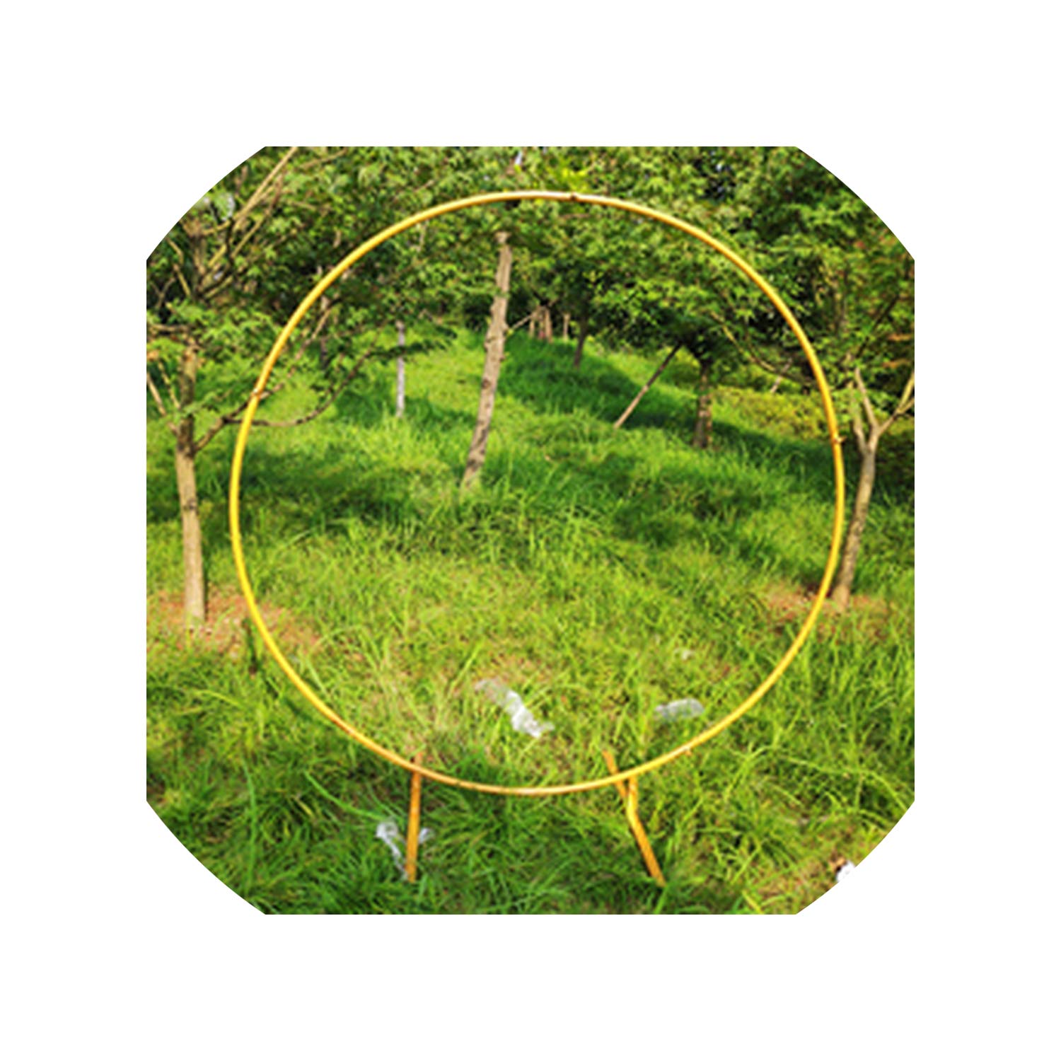 Best Heavy Duty Large Round Wedding Garden Arch