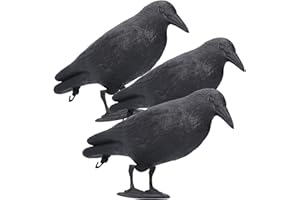 CYTGOUPER Realistic Crow Decoys, Life Sized Simulation Crow Statue Hunting Bait Decoys Black Crow Figuring,Flying Bird Props for Halloween Party Outdoor Garden Decoration (3PCS)