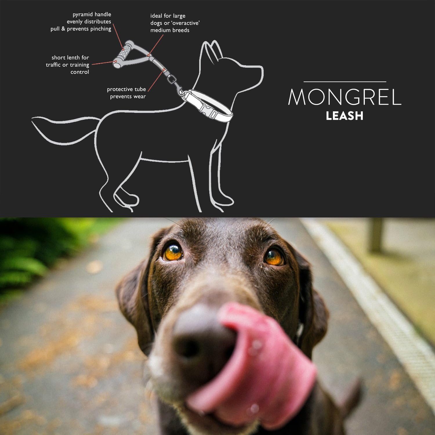 ezydog mongrel