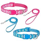 BOUMUSOE 2 Packs Dog Collar and Leash Set, Puppy