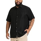 Van Heusen Men's Big and Tall Air Short Sleeve Button Down Poly Rayon Stripe Shirt