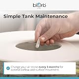 biOrb Air Stone 3.5 x 1 cm Aquarium Aeration Stone For BiOrb Tanks view 7
