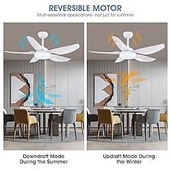 Kviflon 46 Inch Ceiling Fans with Lights and