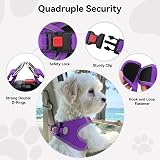 Joytale Step in Dog Harness Soft Mesh Reflective Vest XXXS Purple view 6