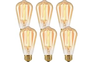 Edison Light Bulbs 60 Watt 110V E26 Standard Base Dimmable ST64 Light Bulb, 6-Pack