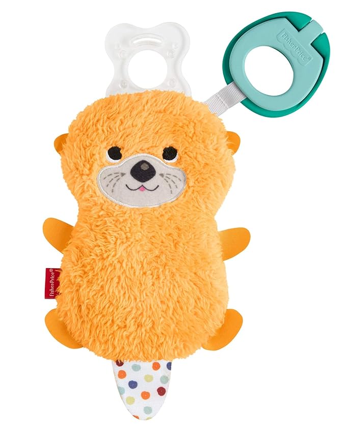 fisher price baby holder