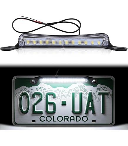 Amazon.com: 63267193294 Rear Bumper Number Plate Lamp Light For