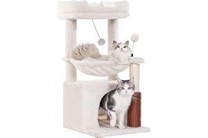 Pawfessor Cat Tree 32 Inches Small Cat Tree for Large Cats Adult Cat Tower with Scratching Post,15.7”Large Hammock and Self Groomer, and Removable Top Perch and Wide Condo for Indoor Cats-Beige