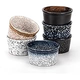 PARMEDU Ceramic Ramekin Set of 6 Mini Porcelain Bowls 4oz/120ml of Zen Style, Souffle Ramekins/Cups for Puddings, Brulees, So