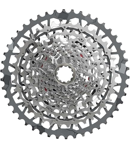 Amazon.com : SRAM RED XPLR XG-1391 Cassette - 13-Speed, 10-46t