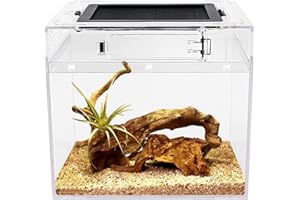 Reptile Growth mini Reptile Terrarium,8" x 8"x 8" Reptile Tank with Full View Visually Appealing，for Insect，Fish，Tarantula，Hermit Crab，Jumping Spider，Iguana，Tortoise，Leopard Gecko，Frog，Bearded Dragon