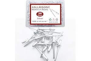 ASLLRISONY 190pcs Silver 3/16-5/16 Inches Aluminum Blind Rivets, 4.8-8 mm Pop Rivets, Aluminum Grip and Steel Mandrel