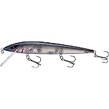 Smithwick Lures Elite 8 Rogue Minnow-Style Jerkbait Crankbait Fishing Lure, 4.5 Inches, 1/2 Ounce