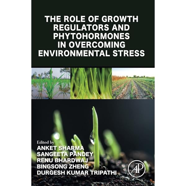 Approaches for Enhancing Abiotic Stress Tolerance in Plants