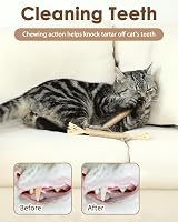 Nepfaivy Silvervine Cat Toys Sticks 6 Pack Natural Chew Interactive Dental view 3
