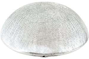 Achla Designs Glass Toadstool Mushroom Gazing Ball, Silver