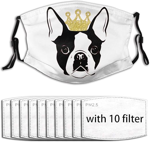 PIDAI Boston Terrier con escudo facial de corona para exteriores