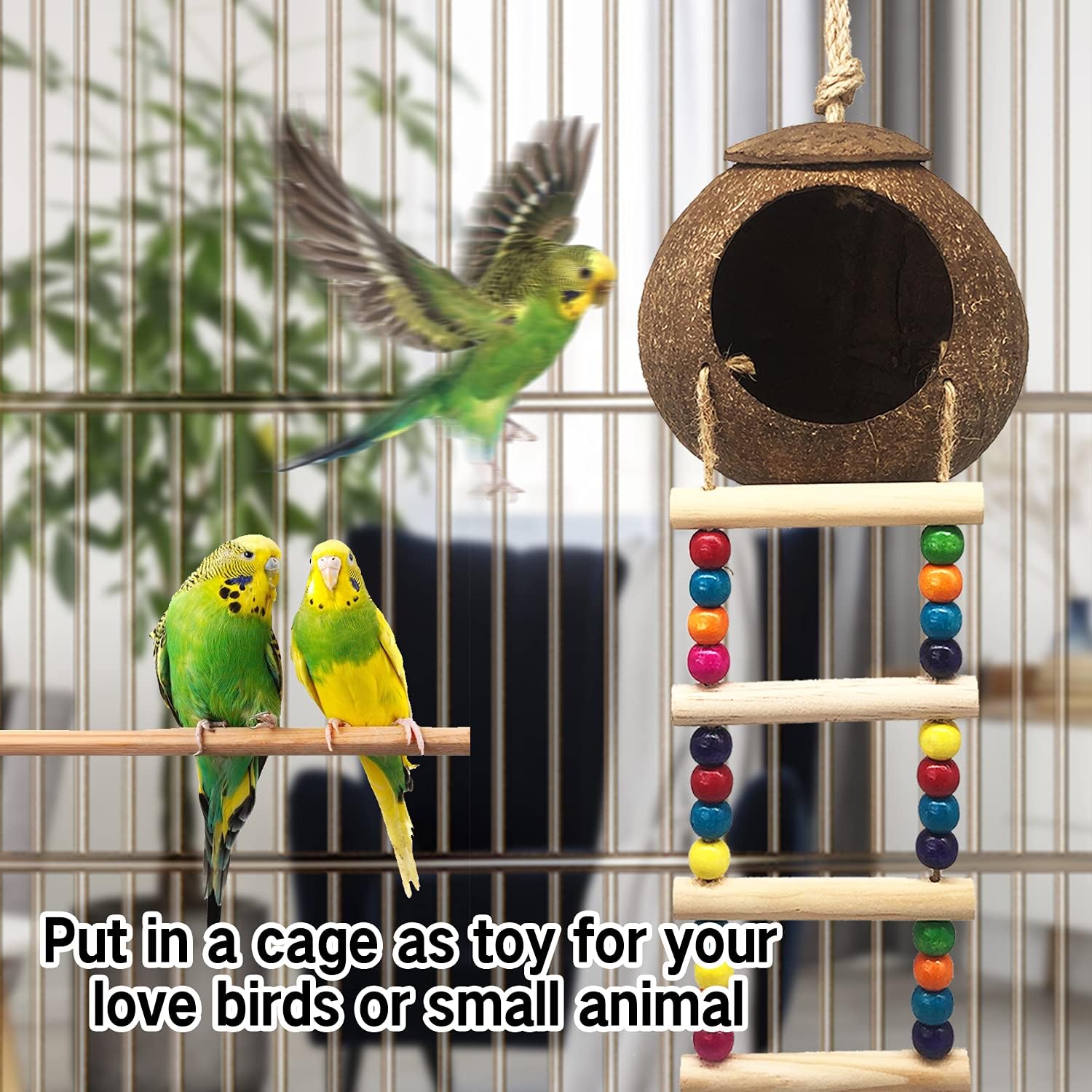 canary bird accessories