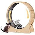 Homegroove Cat Exercise Wheel for Indoor Cat, 45" Large XL Cat Running Wheel with Carpeted Runway, Cat Treadmill Wheel for Kitty’s Longer Life, Cat Wheel for Fitness Weight, Natural Wood Color(XL)