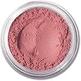 ASC Minerals Foundation Loose Powder 8g Sifter Jar- Choose Color,free of Harmful Ingredients (Compare to Bare Minerals Matte and Original or Mac Makeup) (Mauve blush)