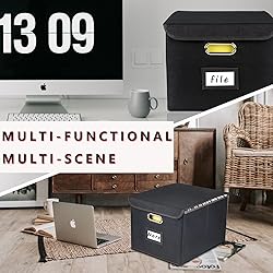 Desihum Collapsible File Organizer Box, filing