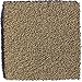 Tranquility Toffee 24 in. x 24 in. Residential Carpet Tile (10 Tiles / Case)