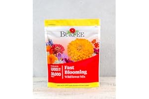 Burpee Fast Blooming 50,000 Non-GMO Planting, 1 Bag | Easy Grow Wildflower Seed Mix Contains 14 Flower Varieties for Home Garden