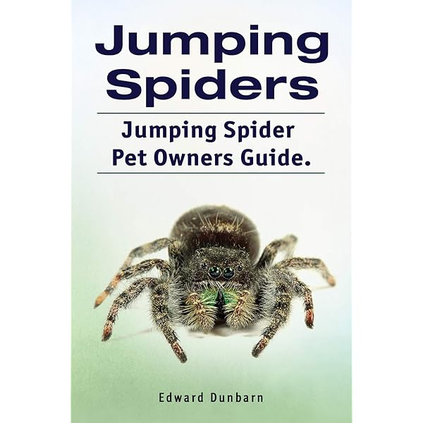 Amazon.com: JUMPING SPIDERS FOR DUMMIES: The Ultimate Guide To