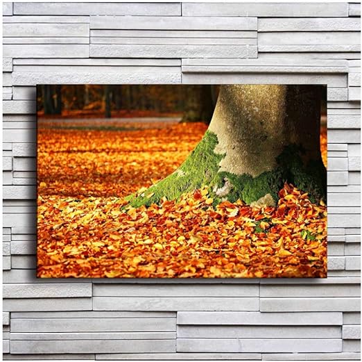 Otoño Bosque Caída Soplando Hojas Troncos de árboles Imágenes