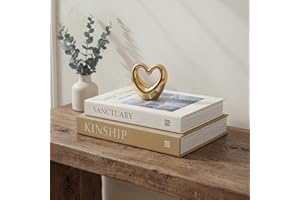 Fveuc 2-Piece Decorative Book Box Set with Hidden Storage, Large (10.6") Faux Book Box for Coffee Table, Console, and Bookshe