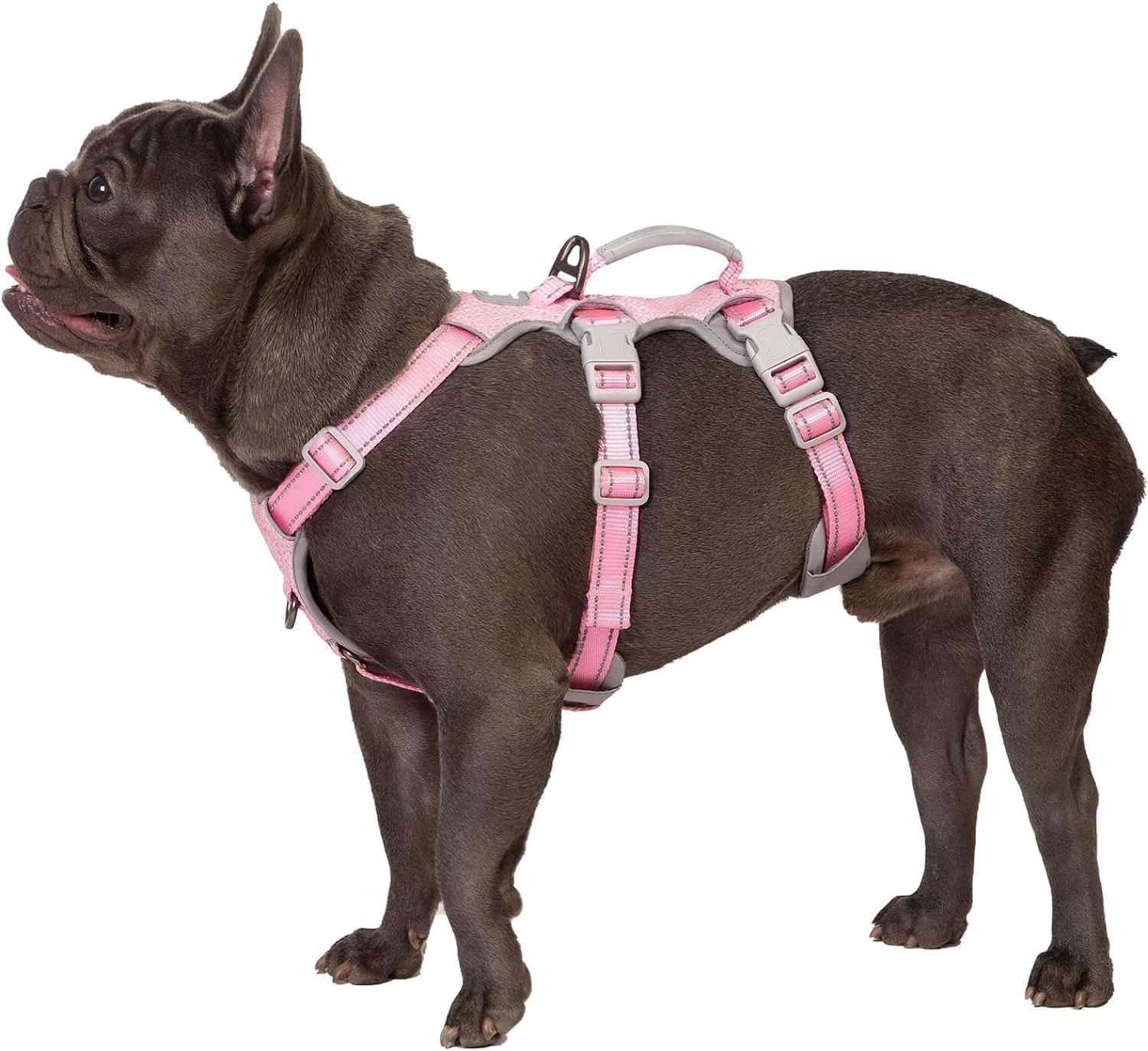 Huntboo Escape Proof Dog Harness, Secure Dog Harness No Escape, Fully Reflective Harnesses with Handle, Breathable, Durable, Adjustable Vest for Small Dogs Walking, Training & Running Gear(Pink,XS) — image 1