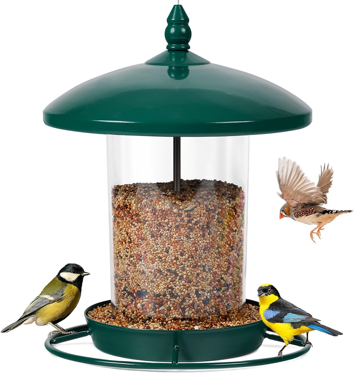 Backyard Birding & Wildlife - Bird Feeders for Outside,Bird Feeder Holds 2.2LB Seeds,Metal Bird Feeder for Outdoors Hanging,Weather Resistant Bird Feeder for Outdoor Garden.Green