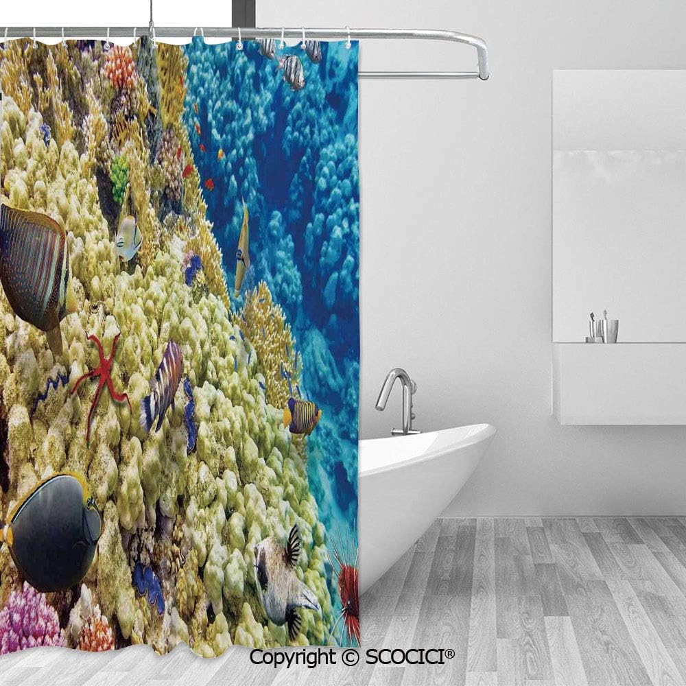 Best Little Giant Ladder 14317001