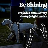 rabbitgoo Dog Harness Medium with Front Back Clips Reflective Padded view 9