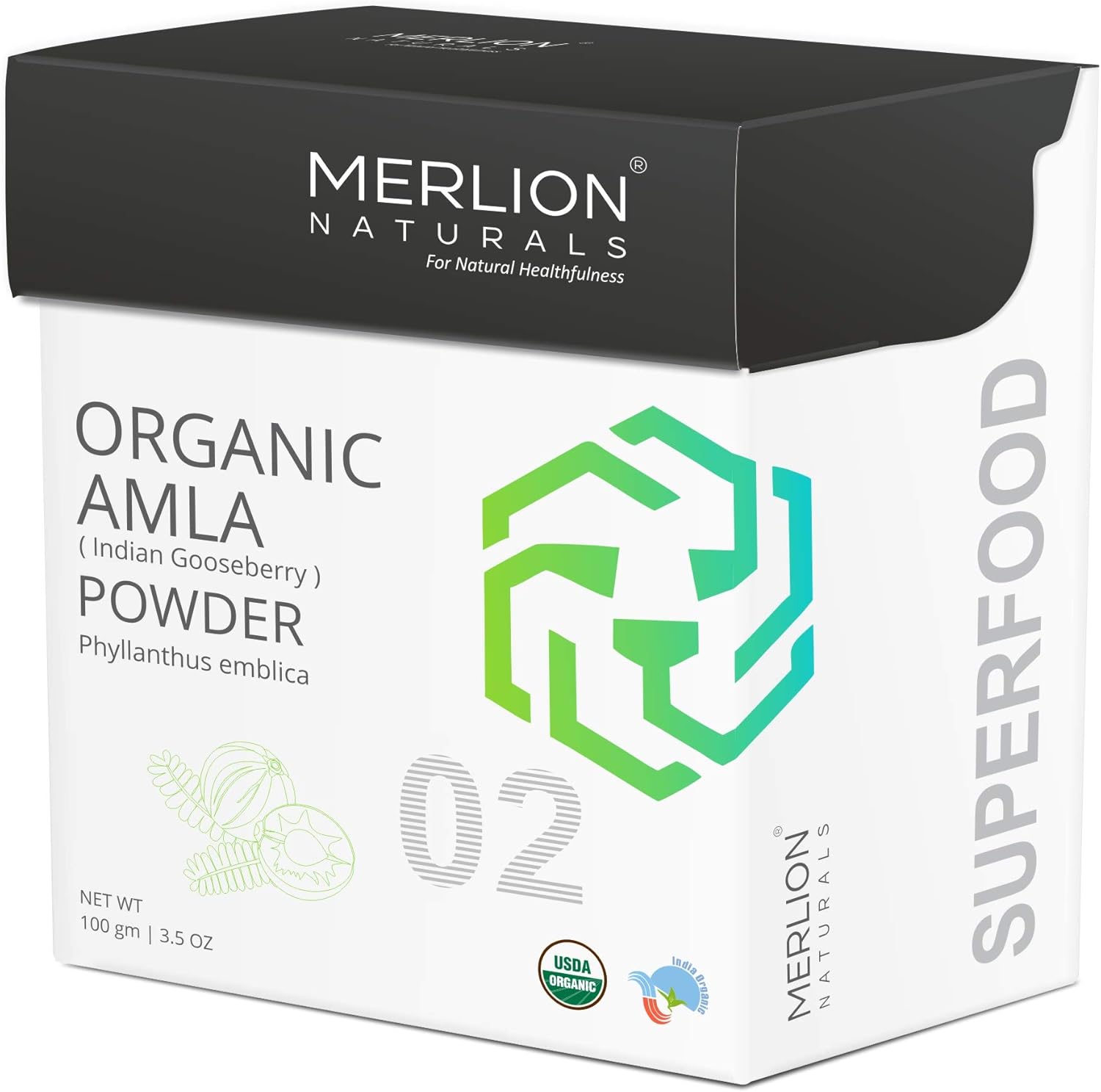 Organic Amla Powder by Merlion Naturals |Superfood | Phyllanthus Emblica | NPOP India and USDA NOP Certified 100% Organic | Supports Immunity (3.5 OZ): Health & Personal Care