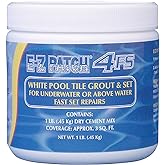 E-Z Products 4 F.s. White Pool Tile Grout Repair (Fast Set) 1 Lb.