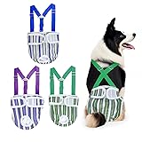 Washable Female Dog Diaper with Suspender - 3 Pack