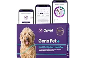 ORIVET GenoPet Plus Dog DNA Test Kit – Breed ID & Genetic Health + Traits Screening | 280+ Traits | Canine Ancestry | GenoPet+ Life Plan | at-Home Swab | Results in 21-25 Days After Activation