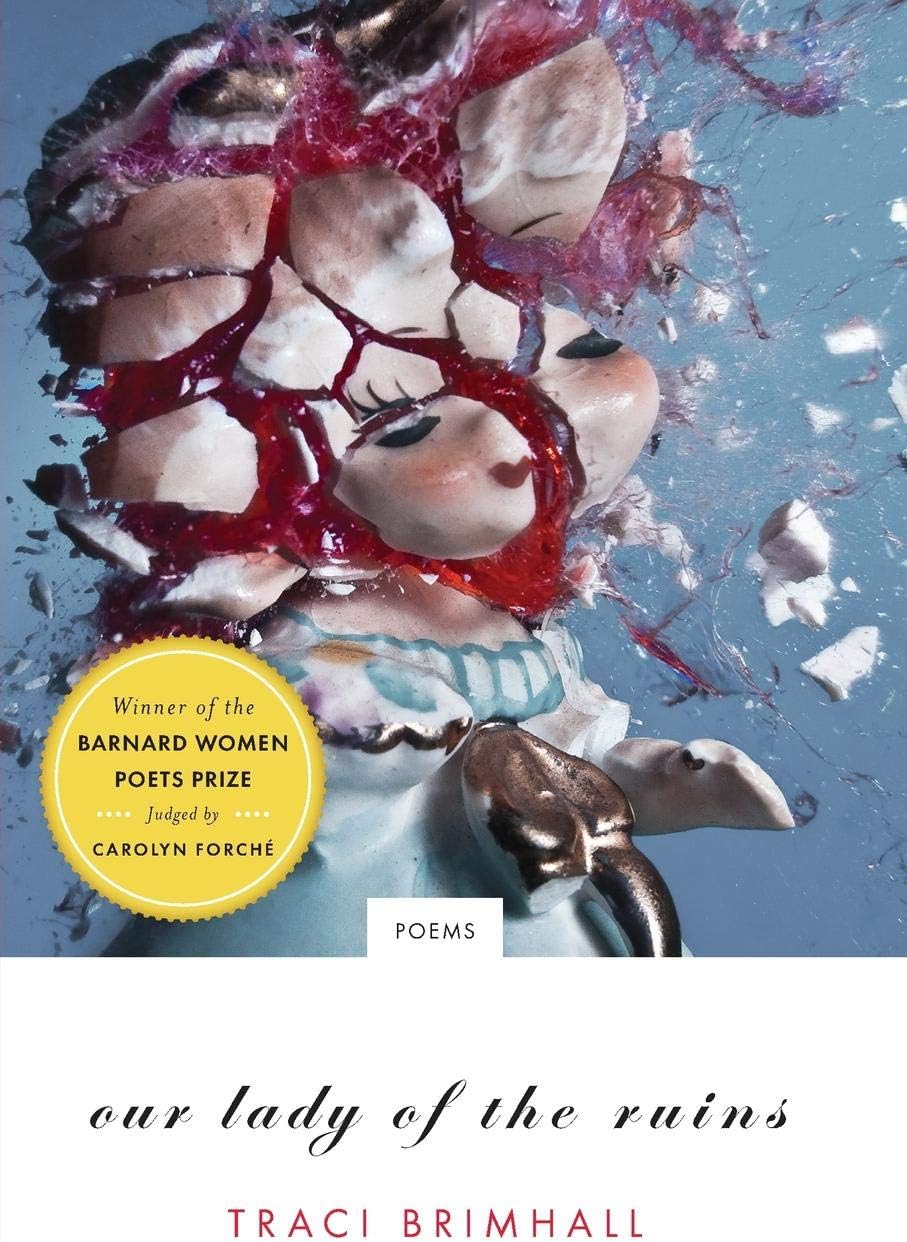 Our Lady of the Ruins: Poems (Barnard Women Poets Prize)