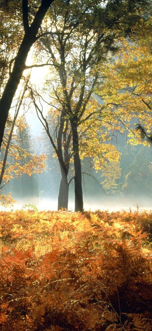 PeelitStickit, Beautiful Nature Wall Murals, ID-0496, vinyl, Multi-colour