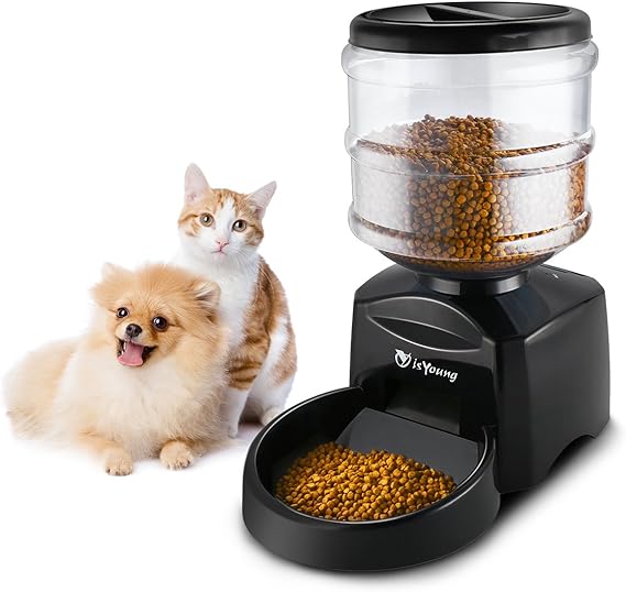 dogs that need rehoming for free