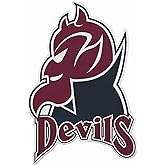 Rico Industries NCAA Fairleigh Dickinson Knights Shape Cut Pennant - Home and Living Room Décor - Soft Felt EZ to Hang