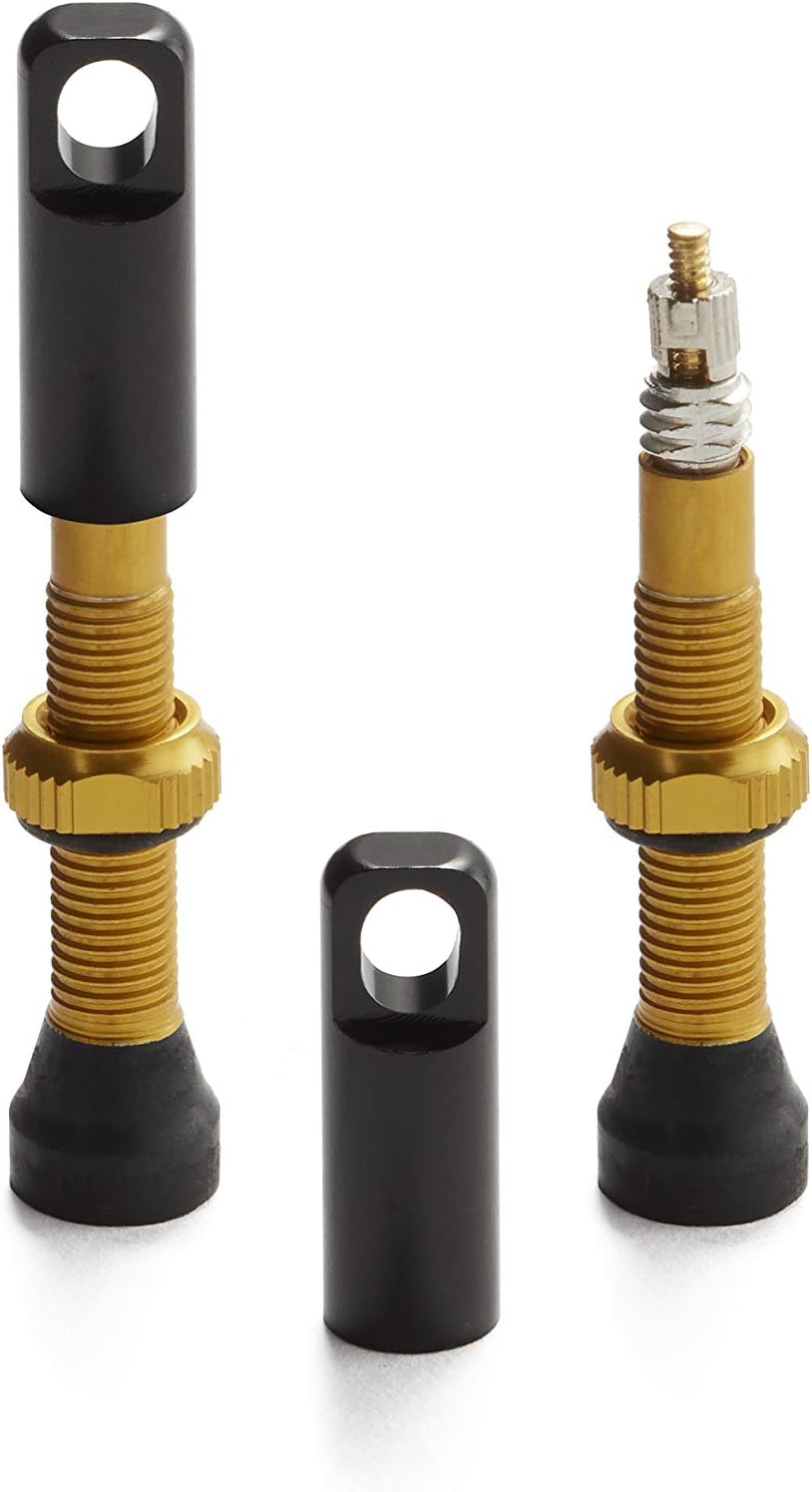 mtb valve stems