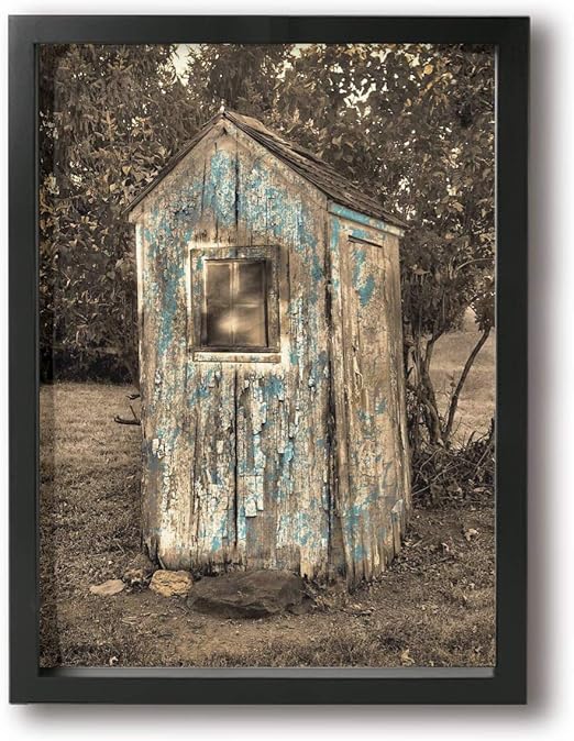 Rustic Vintage Outhouse Bathroom Brown Blue Contemporary Giclee Canvas